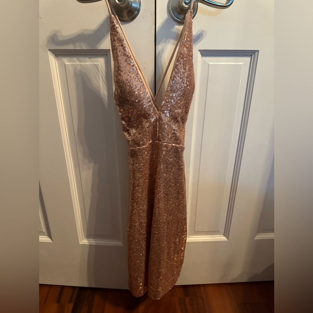 Prom Girl Sparkly Fitted Dress